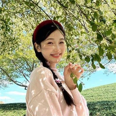 维也纳的姑娘们